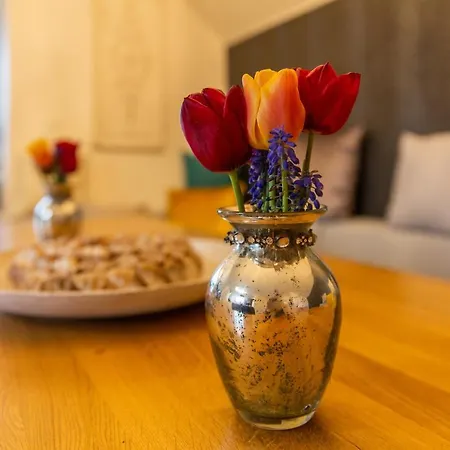 Schwalbennest-grosskoschen Apartment