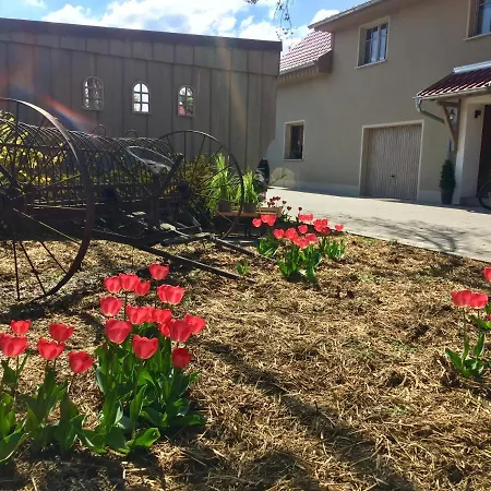 Daire Schwalbennest-grosskoschen *