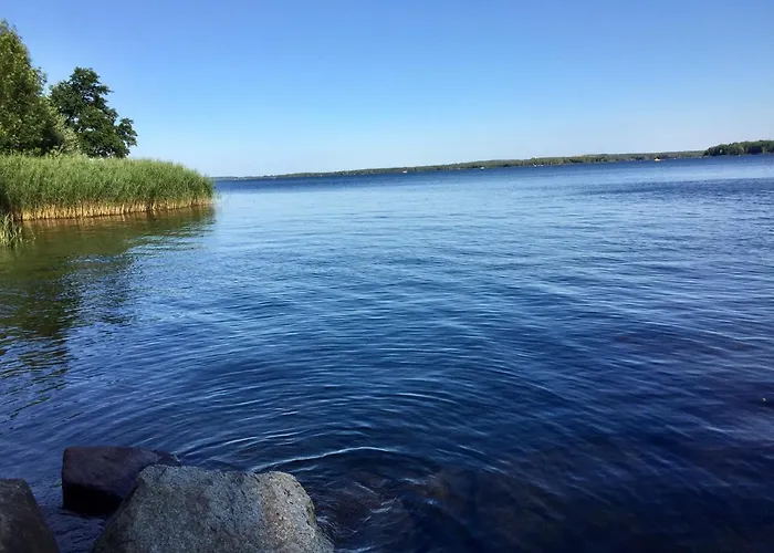 Schwalbennest-grosskoschen *