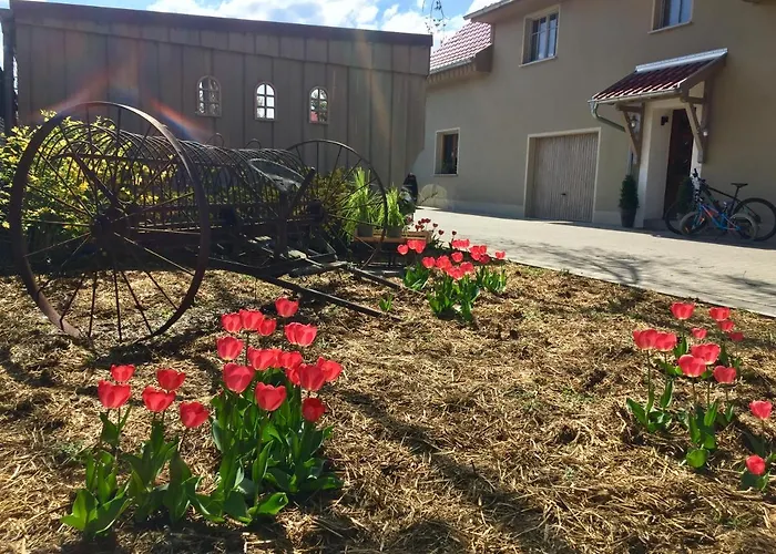 Daire Schwalbennest-grosskoschen *